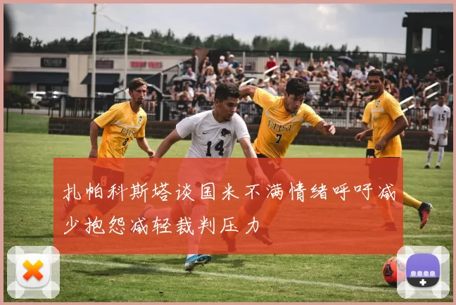 扎帕科斯塔谈国米不满情绪呼吁减少抱怨减轻裁判压力
