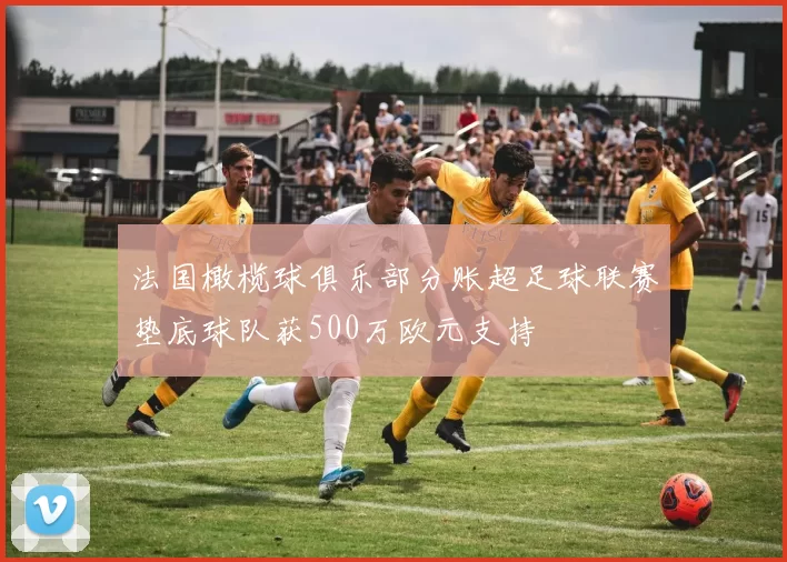 法国橄榄球俱乐部分账超足球联赛垫底球队获500万欧元支持